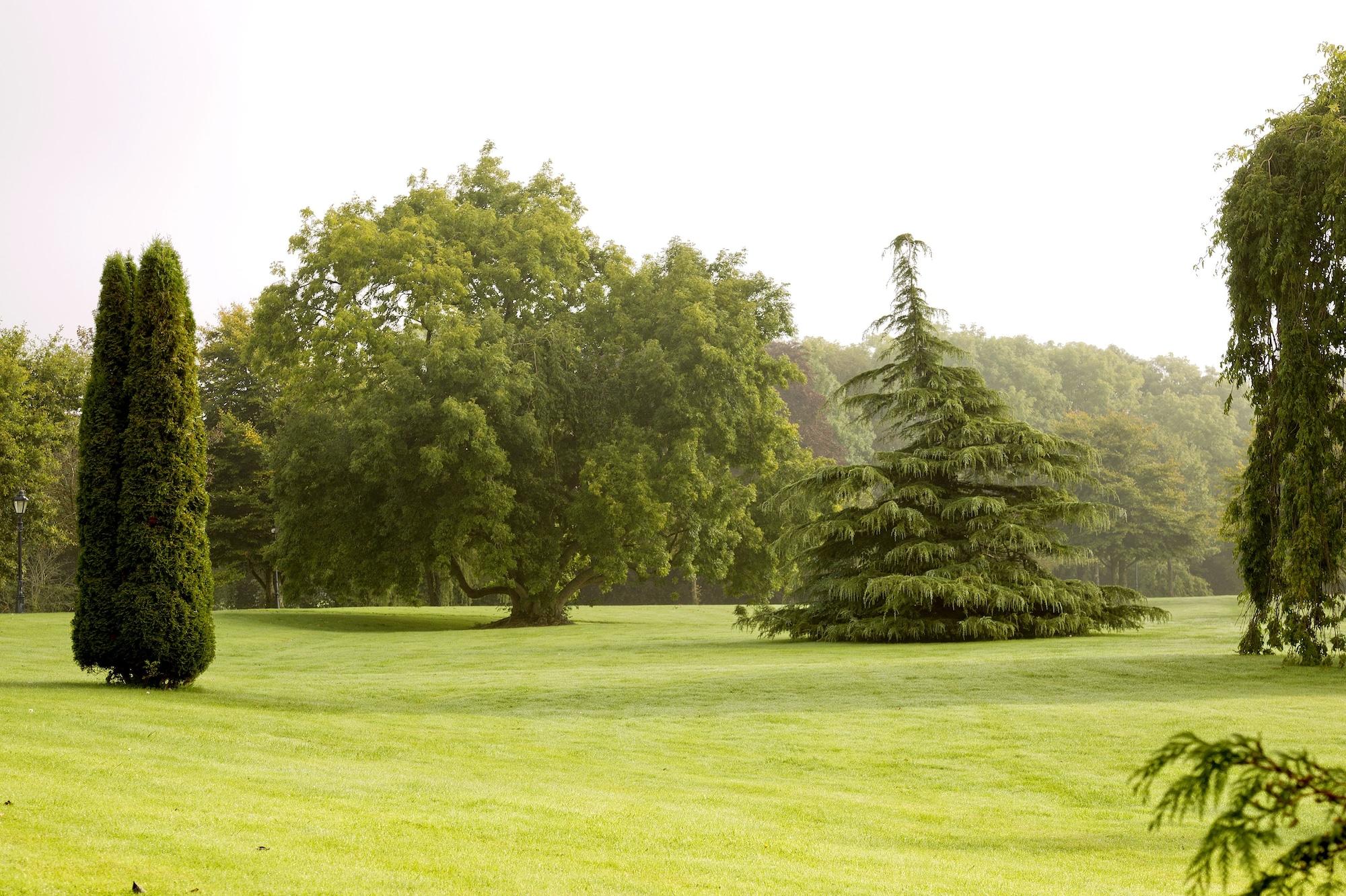Moyvalley Hotel & Golf Resort Экстерьер фото