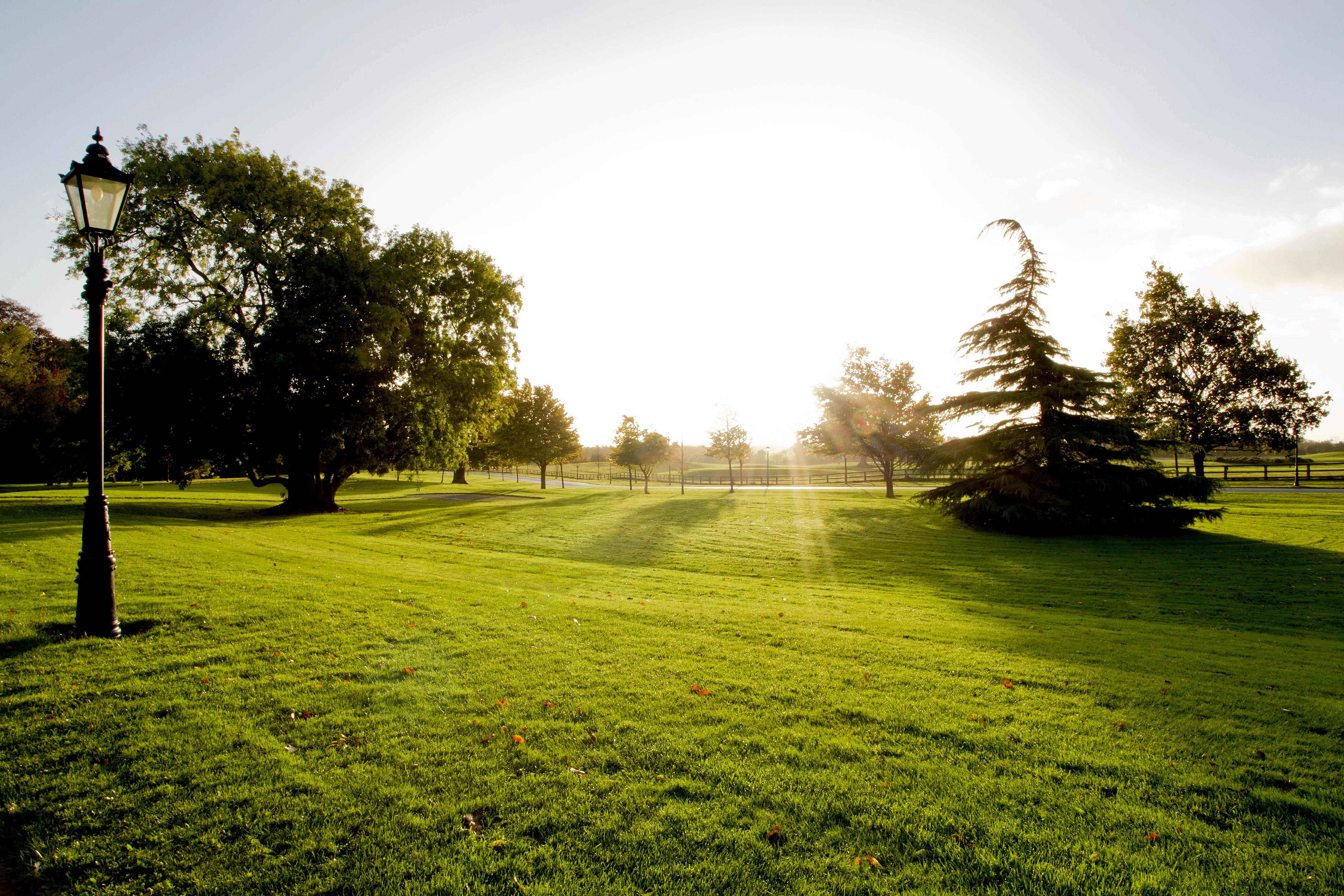 Moyvalley Hotel & Golf Resort Экстерьер фото